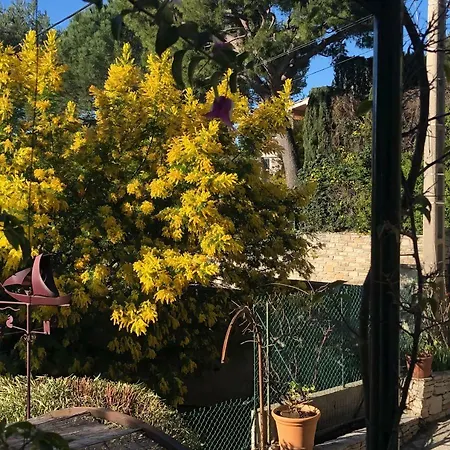 Le Jardin Des Romanines Cassis